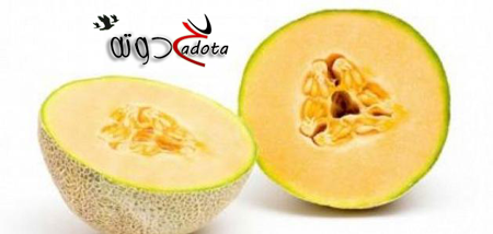 تفسير رؤية الشمام في المنام