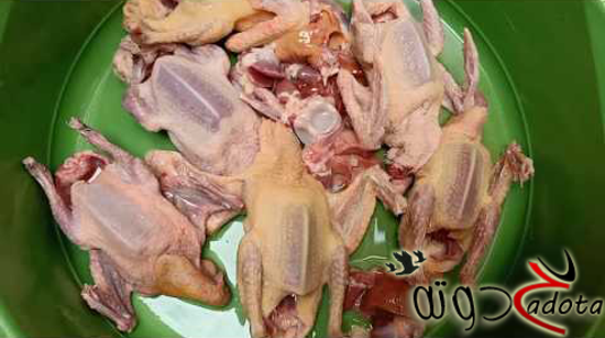 تفسير رؤية ذبح الحمام في المنام