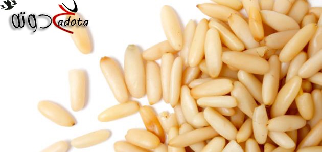 تفسير رؤية الصنوبر في المنام