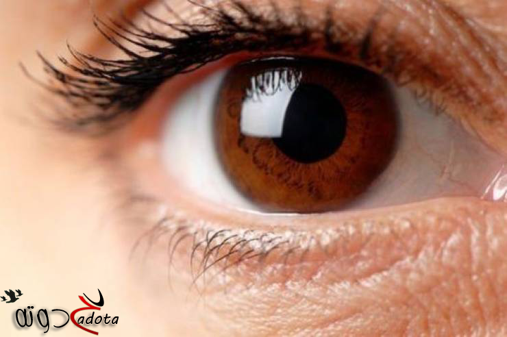 تفسير رؤية العيون البنية في المنام