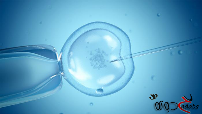 تفسير رؤية بويضة المرأة في المنام