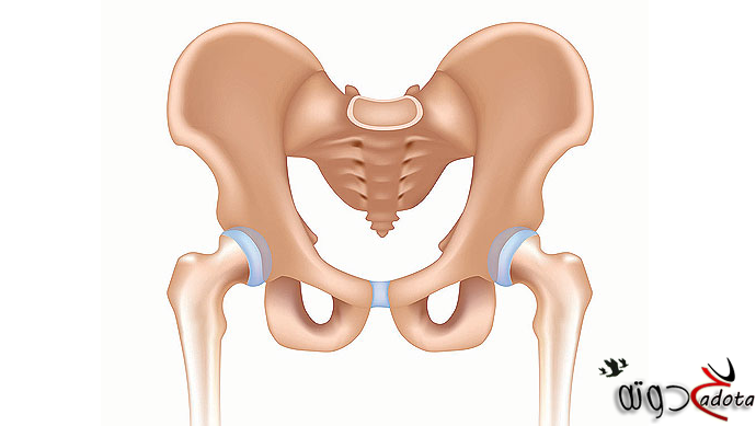 تفسير رؤية عظام الحوض في المنام